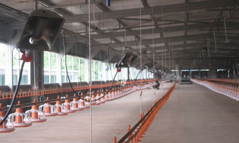 Gasolec M8 Infrared Heater in empty Poultry House