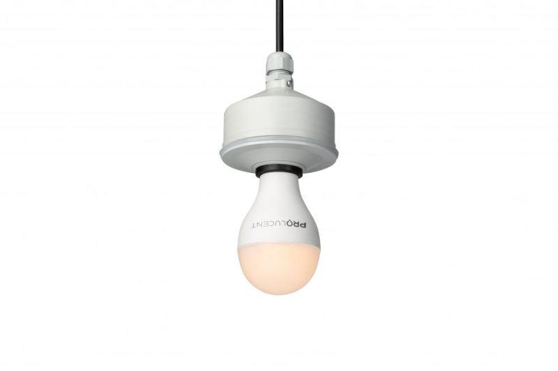 Gasolec Animal Lighting = LED Bulb + Fixture IP54